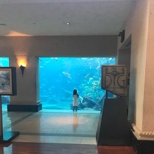 Meet your Posher, Clara